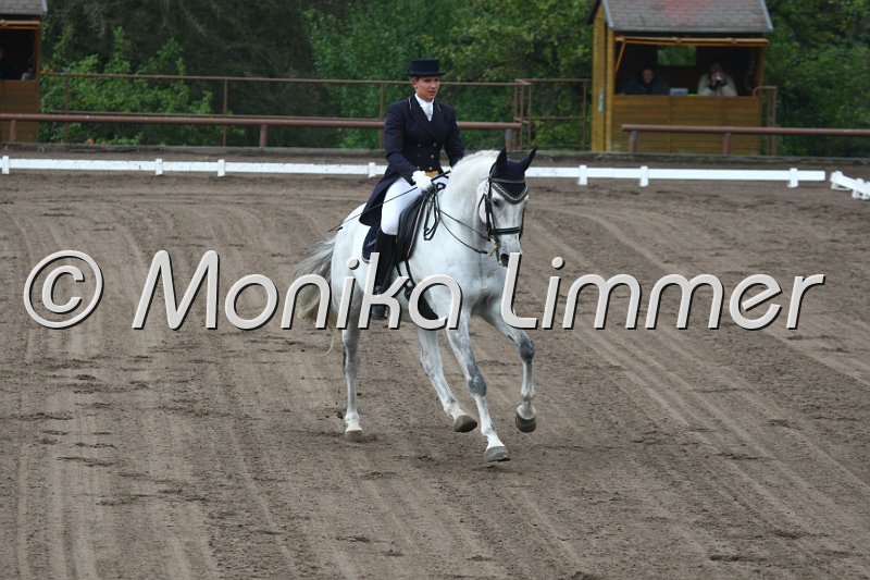 009M9111_Koriolan_Dressur S_St. Georg.JPG